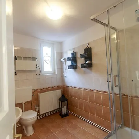 Strada Muresenilor - Savas Apartment Brasov